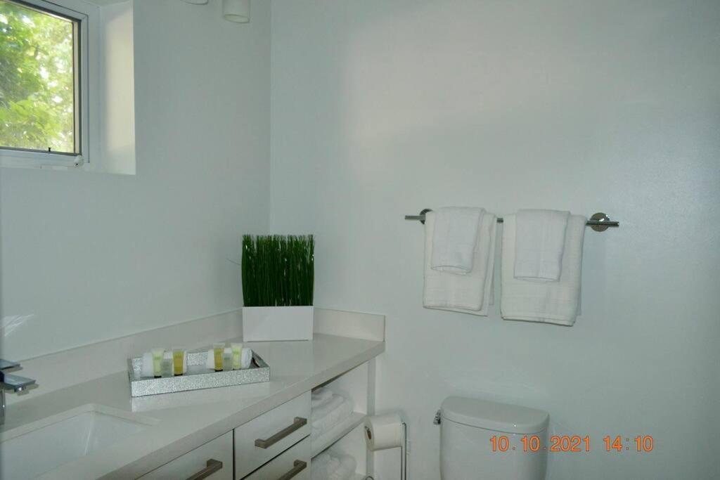 Across The Ocean Few Steps To Beach Contemporary Three Bedroom Townhouse Pompano Beach Eksteriør billede
